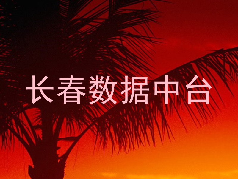 长春数据中台