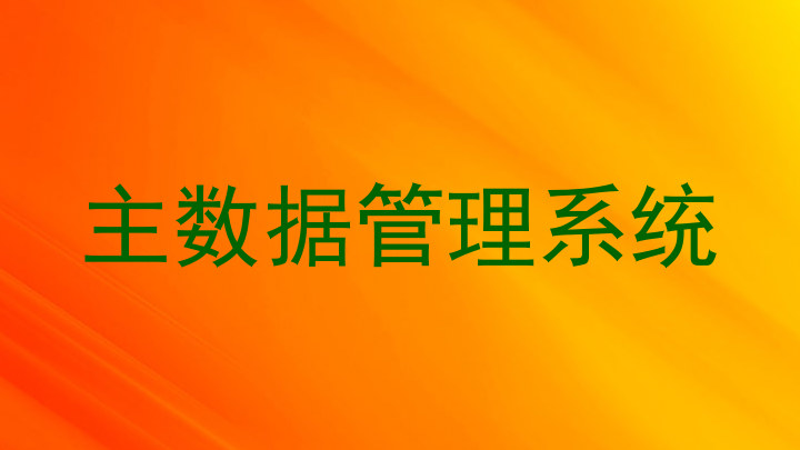 主数据管理系统