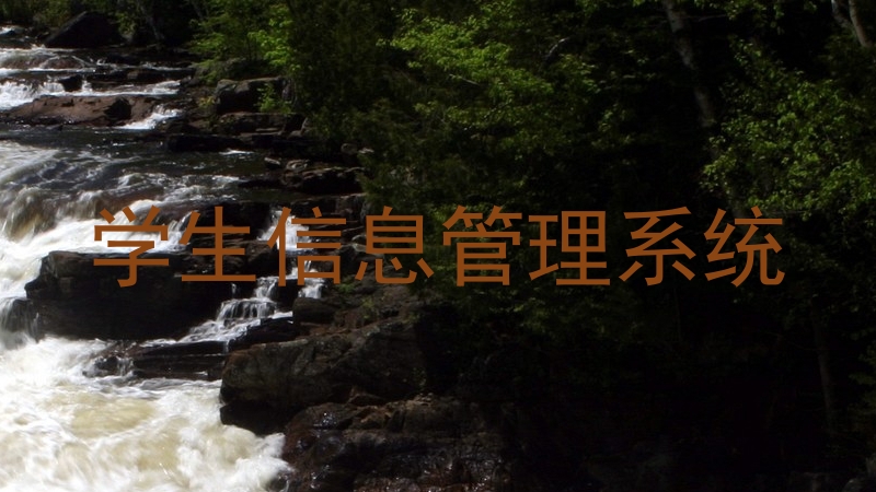 学生信息管理系统
