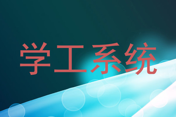 学工系统