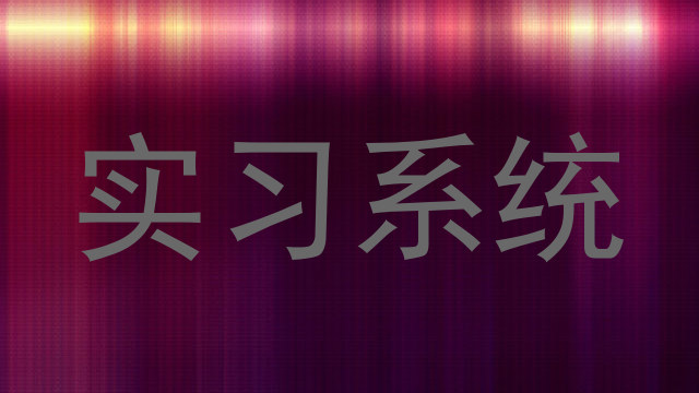 实习系统