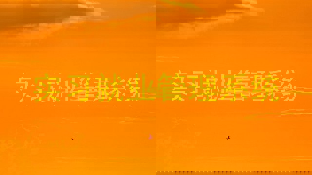 实习就业管理系统