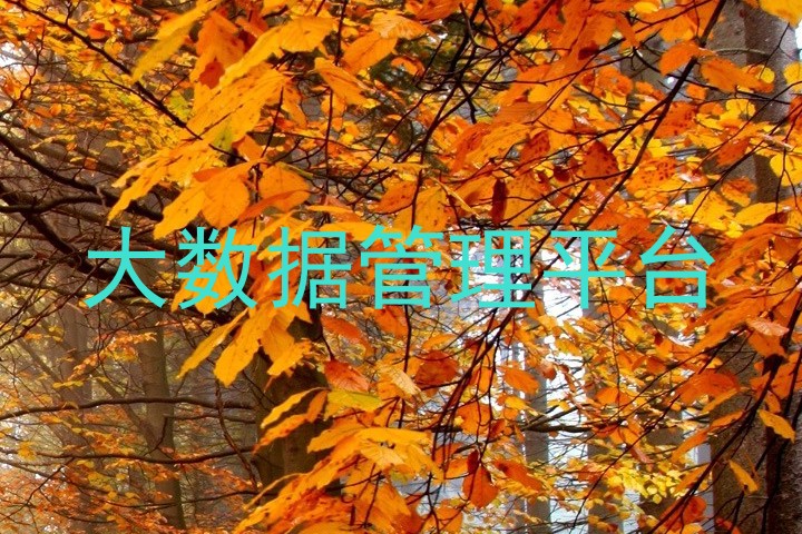 大数据管理平台