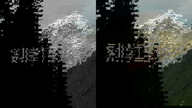 深圳学工管理系统
