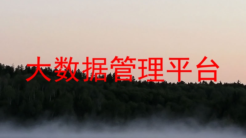 大数据管理平台