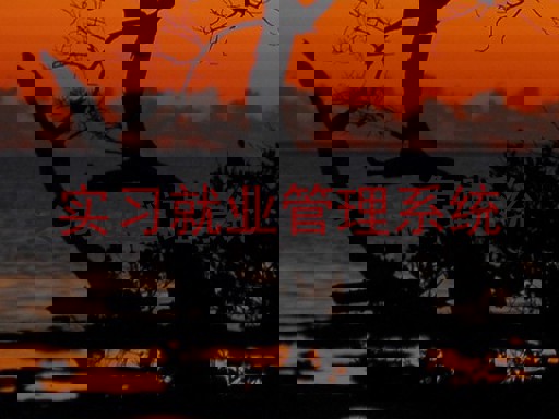 实习就业管理系统
