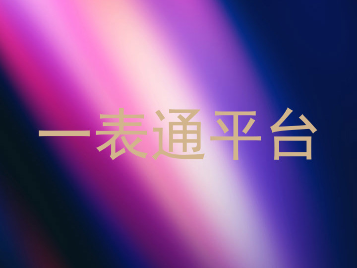 一表通平台