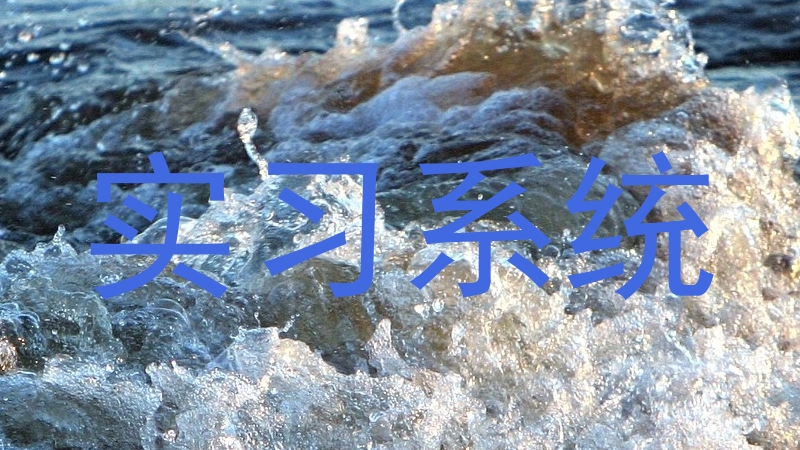 实习系统