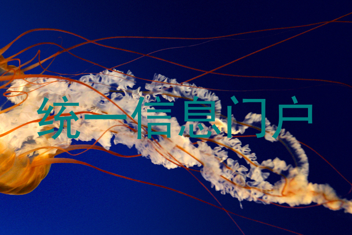 统一信息门户