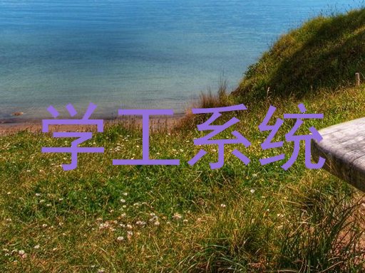 学工系统