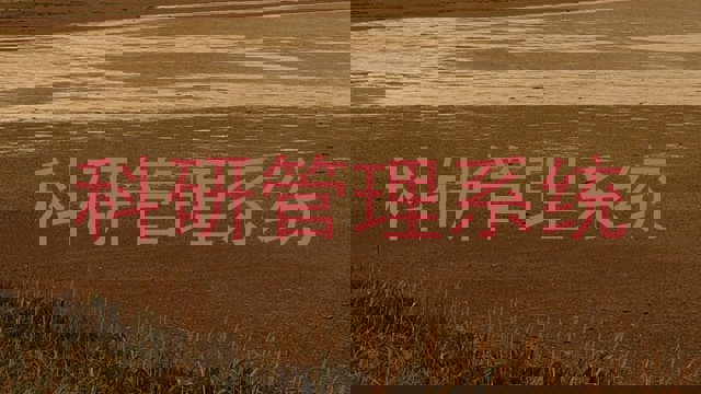 科研管理系统