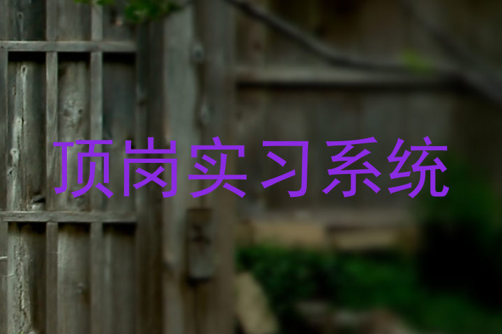 顶岗实习系统