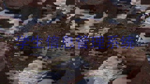学生信息管理系统