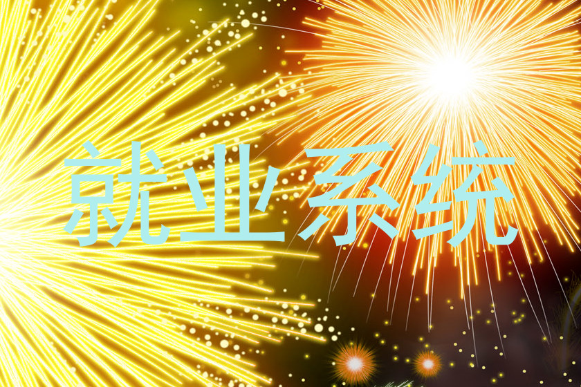 就业系统