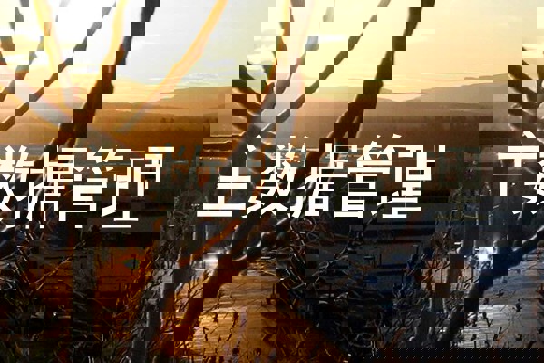 主数据管理