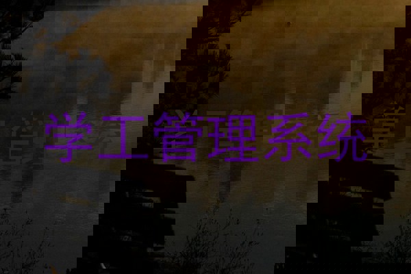 学工管理系统