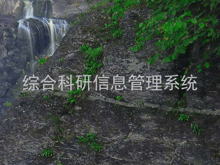 综合科研信息管理系统