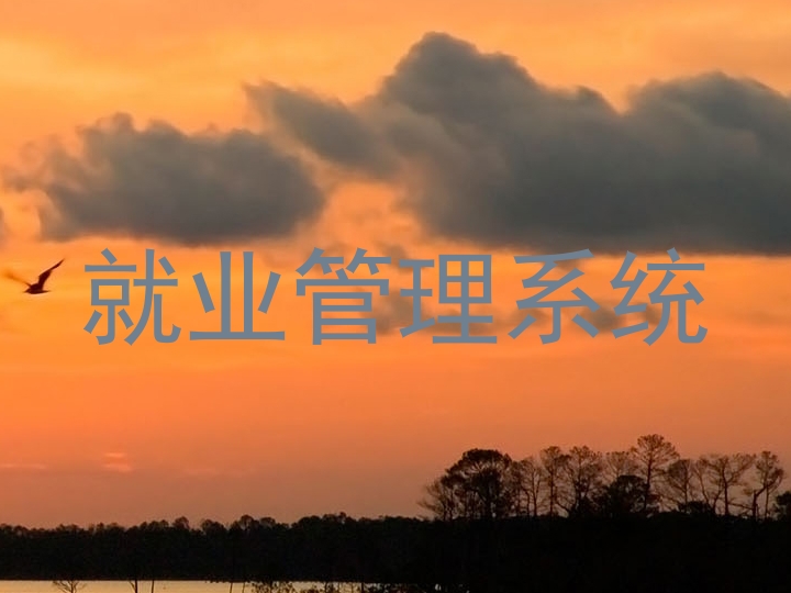 就业管理系统