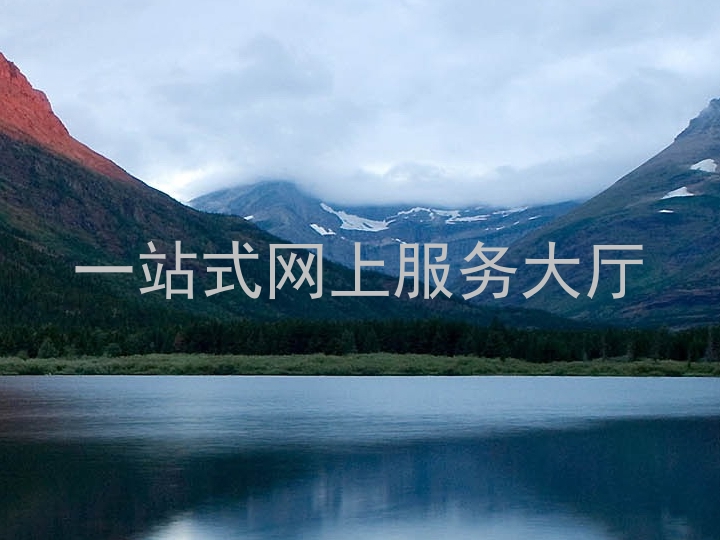 一站式网上服务大厅