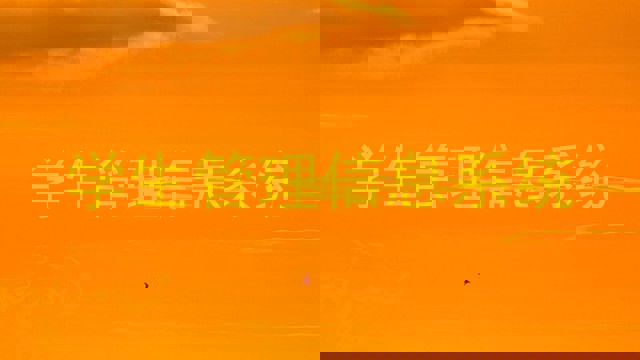 学生管理信息系统