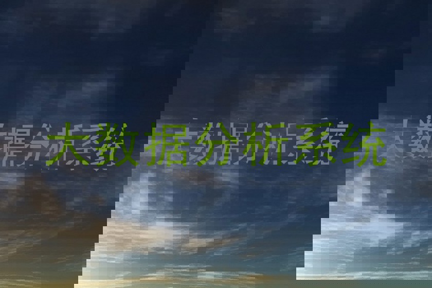 大数据分析系统
