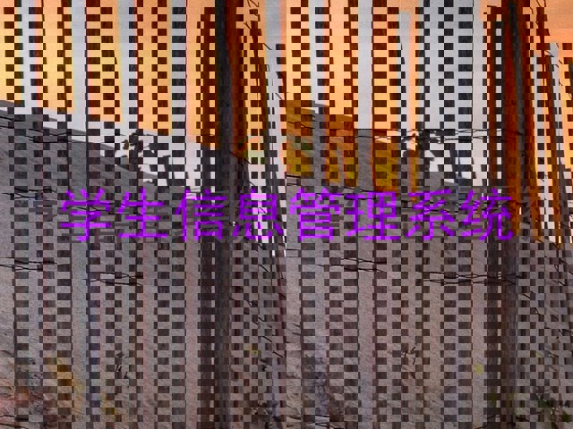 学生信息管理系统