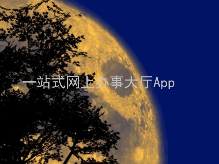 一站式网上办事大厅App