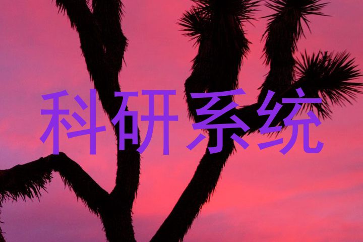 科研系统