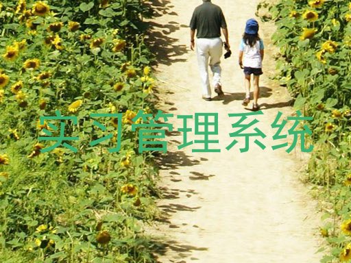 实习管理系统