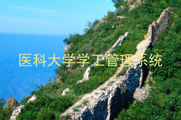 医科大学学工管理系统