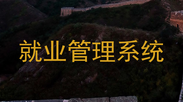 就业管理系统