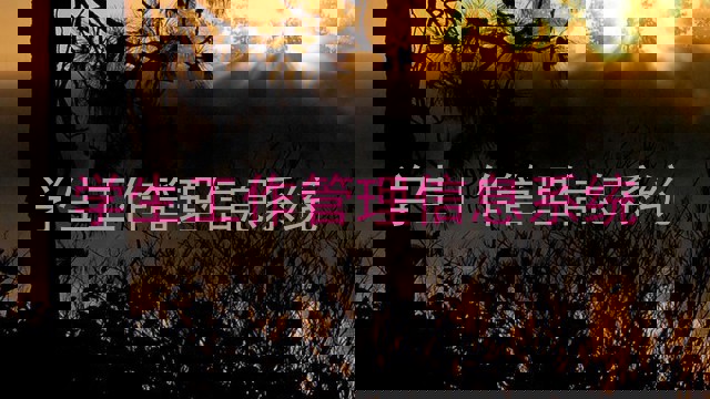 学生工作管理信息系统