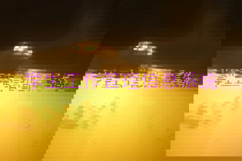 学生工作管理信息系统