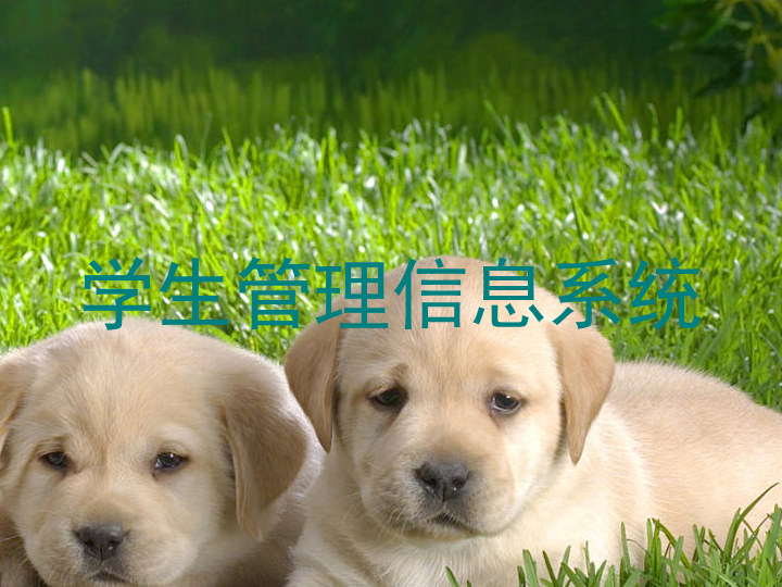 学生管理信息系统