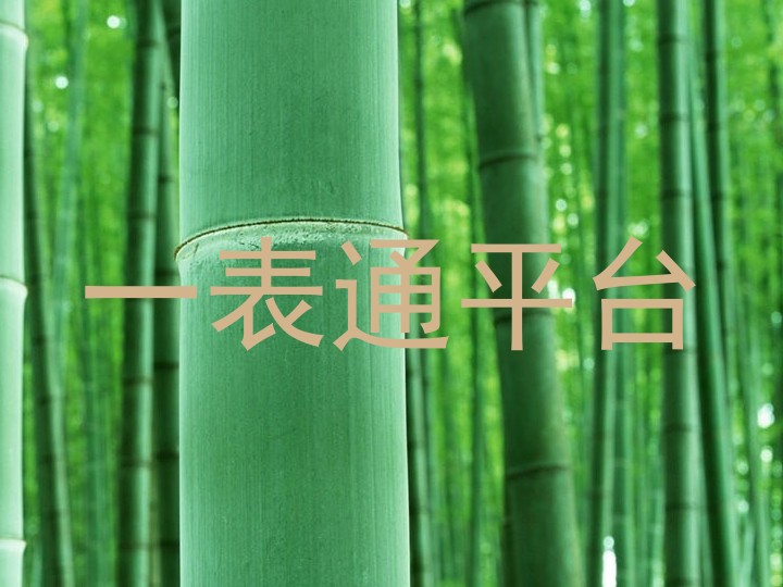 一表通平台
