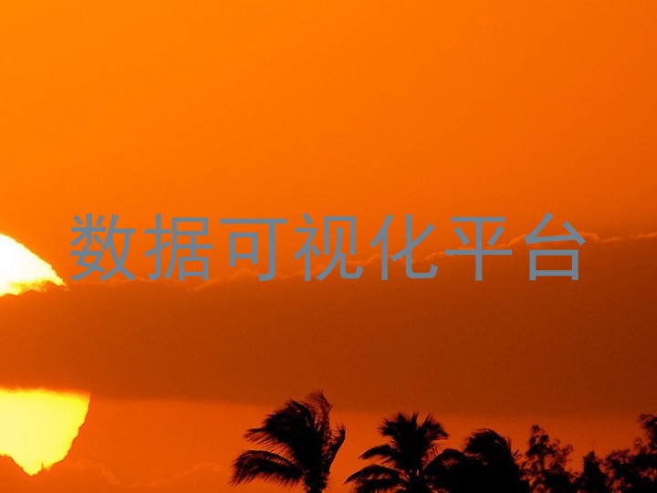 数据可视化平台