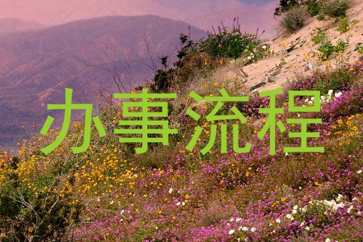 办事流程