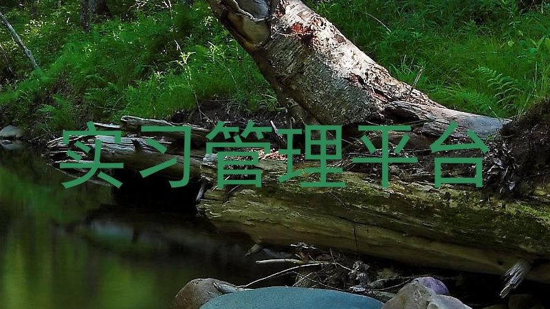 实习管理平台