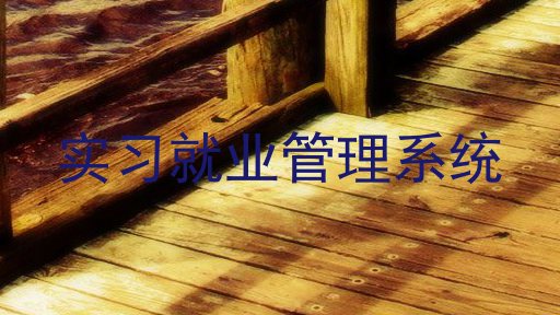 实习就业管理系统