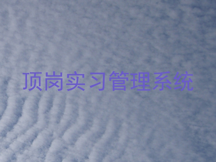 顶岗实习管理系统