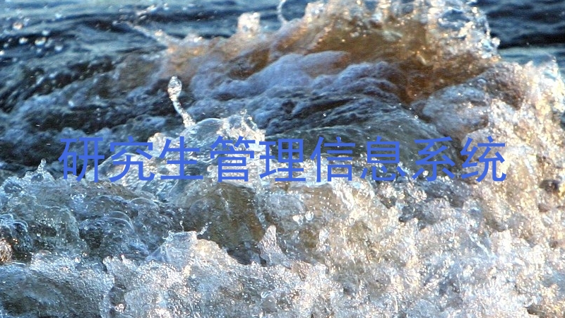 研究生管理信息系统