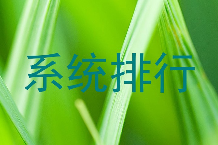 系统排行