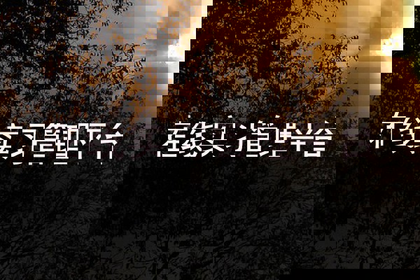 在线实习管理平台