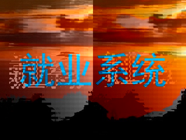 就业系统