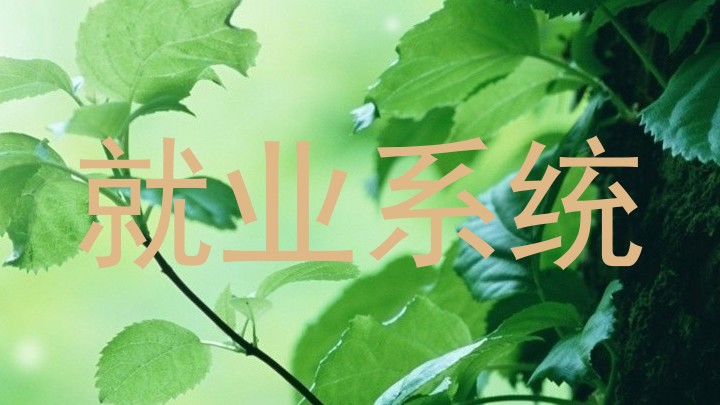 就业系统