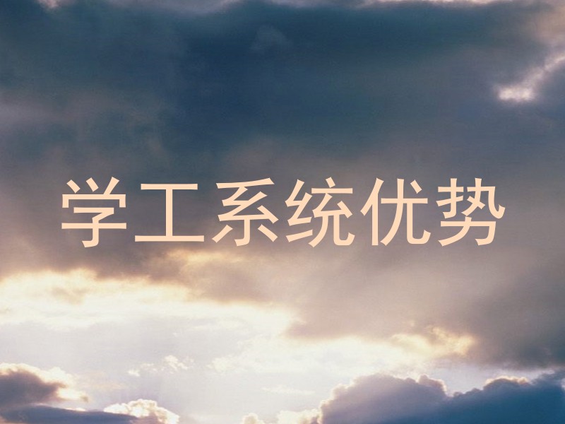 学工系统优势