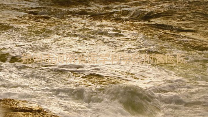 郑州市河南省医学科学院附属医院