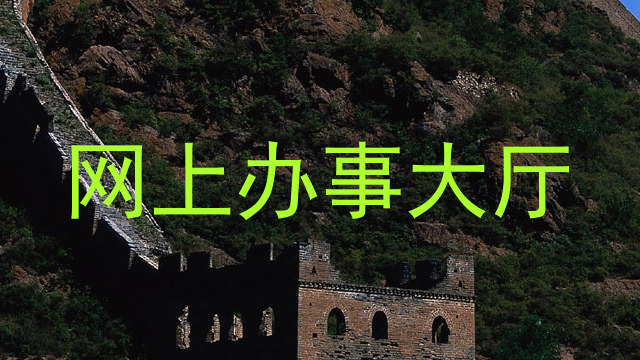 网上办事大厅