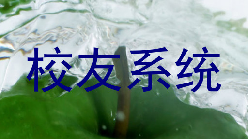 校友系统
