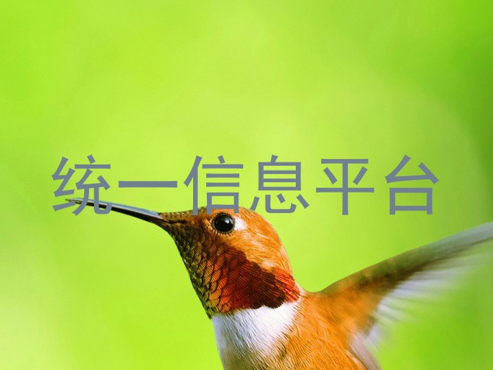 统一信息平台